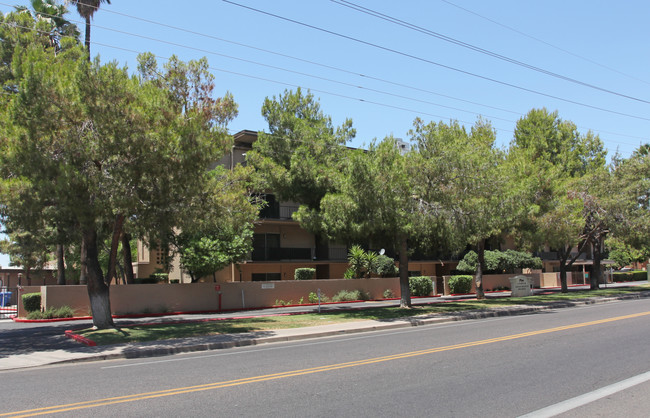 Pine Towers in Phoenix, AZ - Foto de edificio - Building Photo