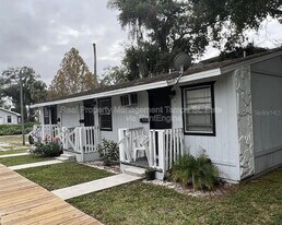 404 W Amelia Ave in Tampa, FL - Building Photo