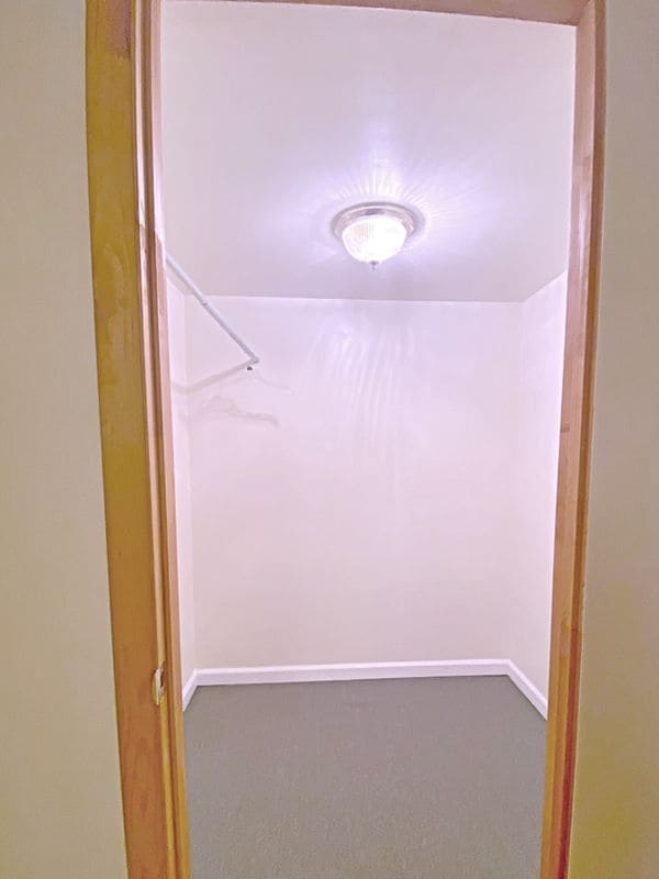 29411 Petunia Dr in Easton, MD - Building Photo - Building Photo