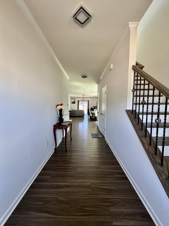 365 Runner Stone Ln in Fort Mill, SC - Building Photo - Building Photo