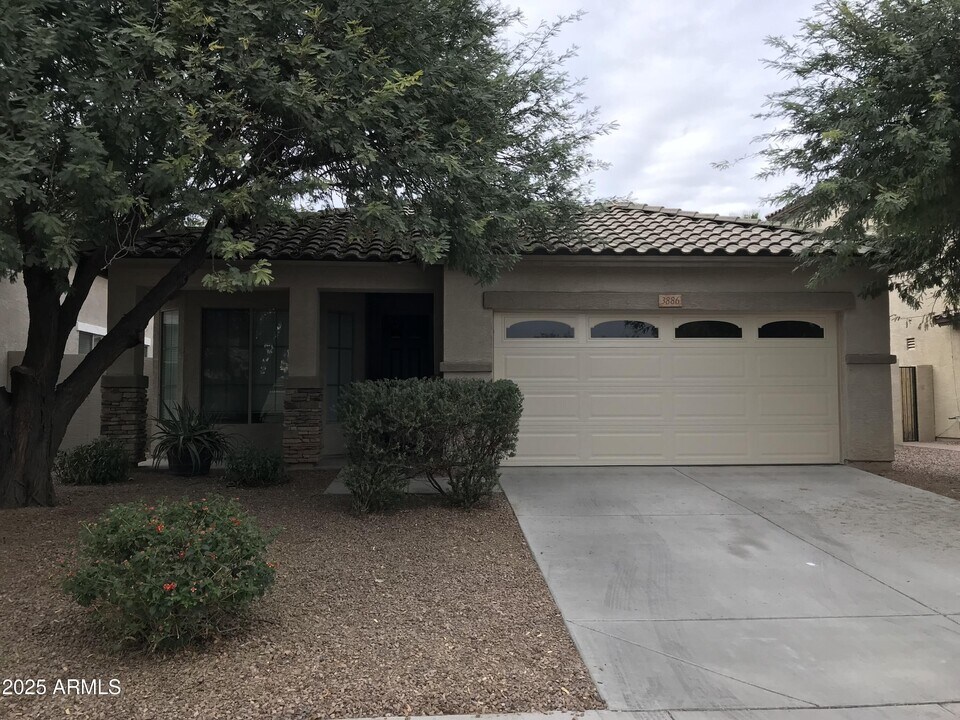 3886 S Marigold Way in Gilbert, AZ - Building Photo