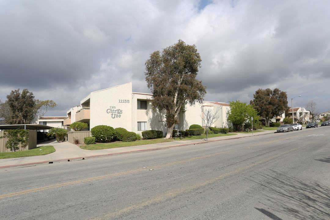 Citrus Tree Apartments in Ventura, CA - Building Photo