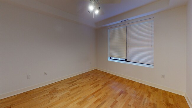 150 Saint Paul St, Unit 202 in Brookline, MA - Building Photo - Building Photo