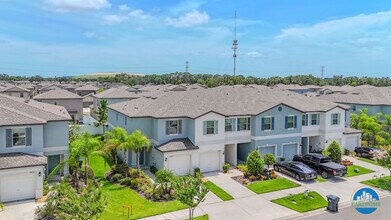 7227 Sweet Alyssum Ct in Tampa, FL - Building Photo - Building Photo