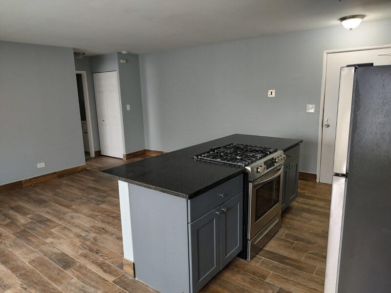 663 W Grace St in Chicago, IL - Building Photo