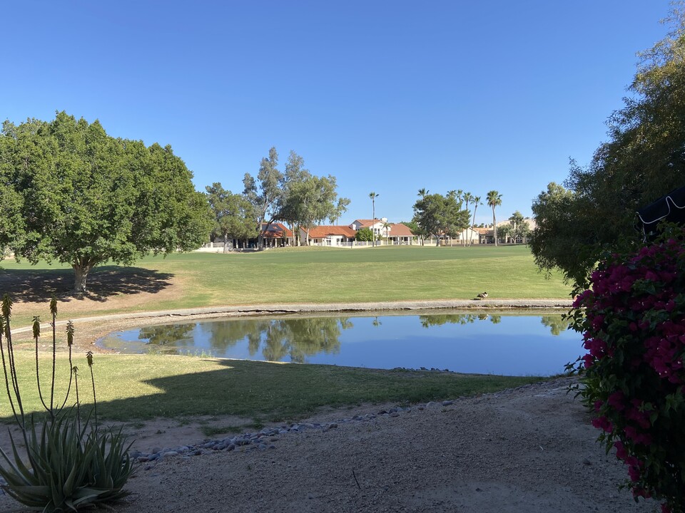 7101 W Beardsley Rd, Unit 211 in Glendale, AZ - Building Photo