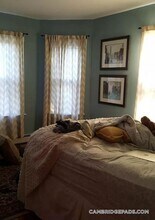 173 Rindge Ave in Cambridge, MA - Building Photo - Building Photo