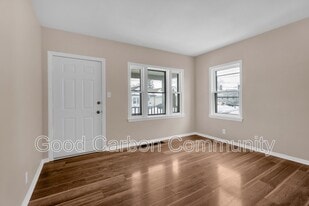 101 Miller St in North Tonawanda, NY - Building Photo