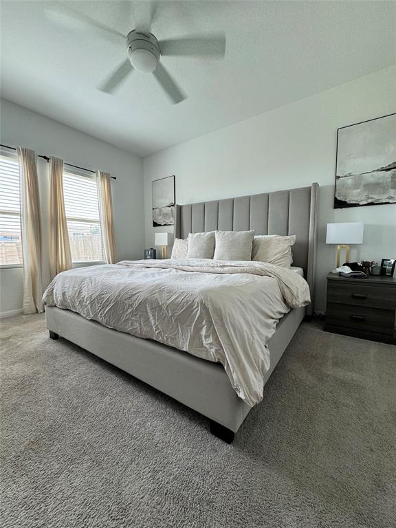 property at 2250 Carrizo Spgs Path