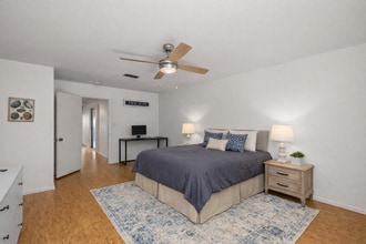 1118 E Esperanza St, Unit 360 in South Padre Island, TX - Building Photo - Building Photo