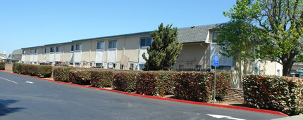 Chateau Central Apartment in Fremont, CA - Building Photo - Building Photo