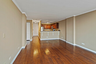 1636 N Wells St, Unit 1008 in Chicago, IL - Building Photo - Building Photo