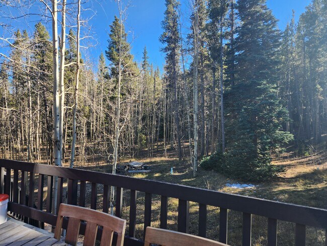 4603 Co Rd 1, Unit 2 Bedroom 1 Bathroom in Alma, CO - Building Photo - Building Photo