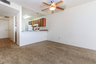 Carondelet Apartments in Tucson, AZ - Building Photo - Building Photo