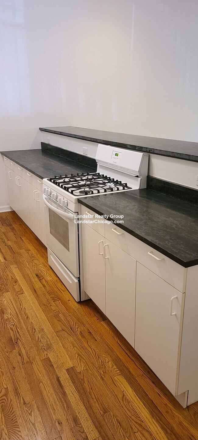 723 W Briar Pl in Chicago, IL - Building Photo - Building Photo