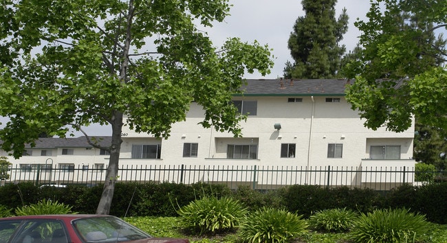 Park Terrace Town Homes in Hayward, CA - Foto de edificio - Building Photo