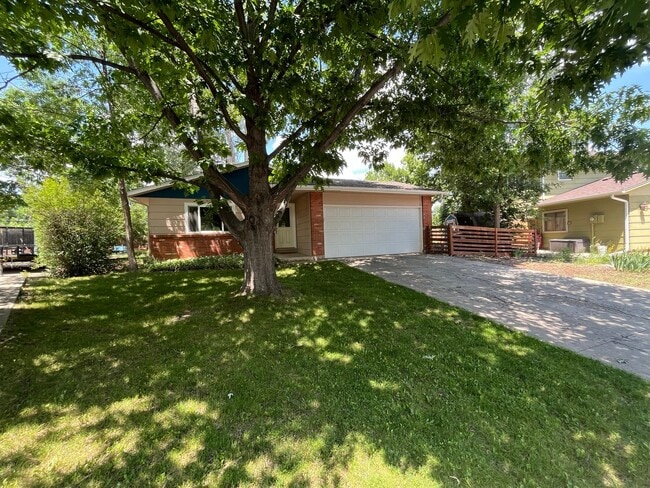 2307 Sceap Ct in Fort Collins, CO - Foto de edificio - Building Photo