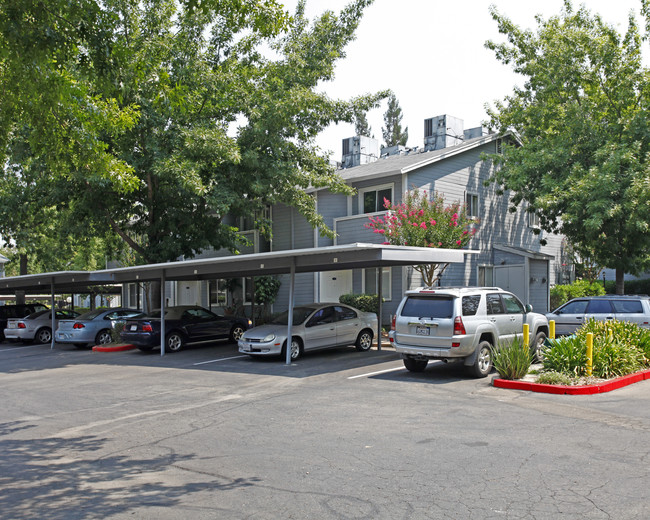 Myrtle Creek Apartments in Sacramento, CA - Building Photo - Building Photo