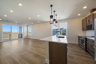 10882 Lyric St in Parker, CO - Building Photo - Building Photo