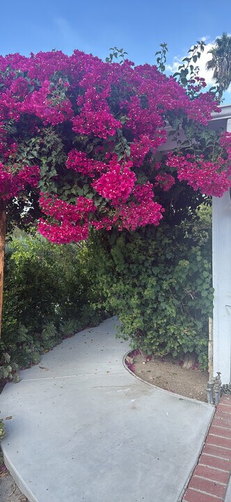 5626 Mason Ave in Woodland Hills, CA - Building Photo