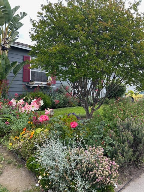 property at 1 Flory St