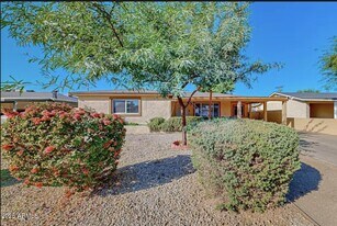 2412 N 36th Pl in Phoenix, AZ - Building Photo