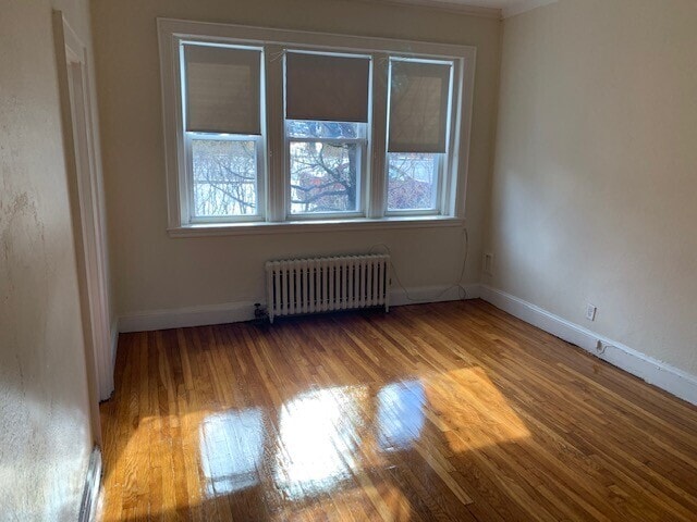 2049 Commonwealth Ave, Unit Bsmt