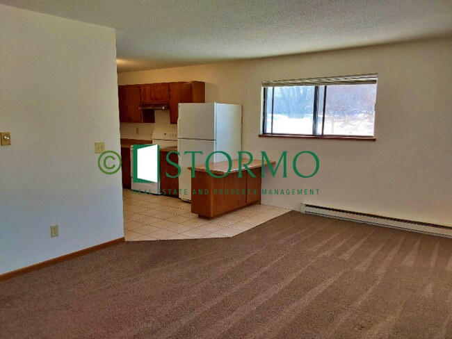 525 14th St S, Unit 4 in St. Cloud, MN - Building Photo - Building Photo