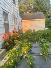 1215 Farwell Dr in Madison, WI - Building Photo - Building Photo