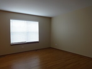 5206 Kingsbury Estates Dr in Plainfield, IL - Foto de edificio - Building Photo