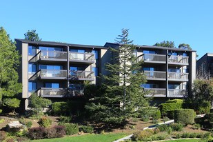 Strawberry Shores in Mill Valley, CA - Building Photo