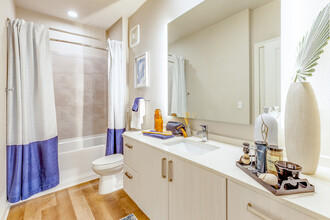 1701 Central Apartments in St. Petersburg, FL - Building Photo - Interior Photo