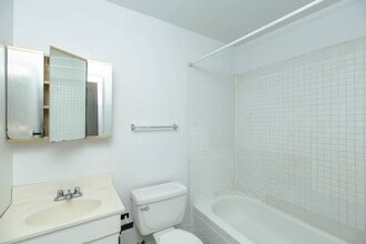 3037 N Southport Ave in Chicago, IL - Building Photo - Building Photo