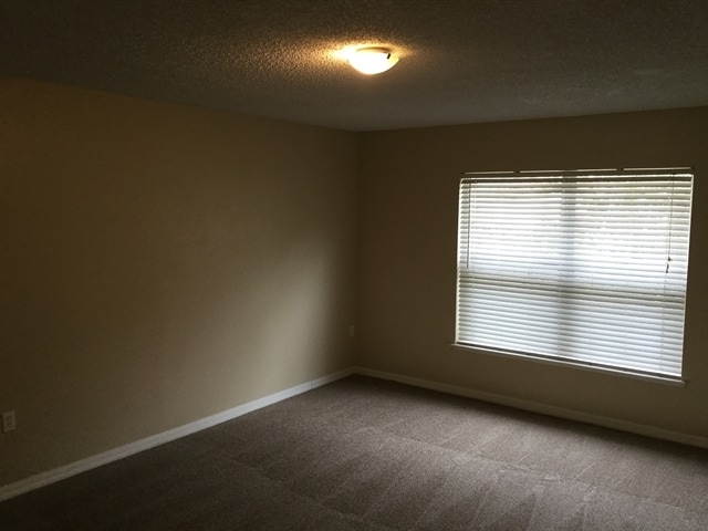 11576 Whisperingbrook Ln in Jacksonville, FL - Building Photo - Building Photo