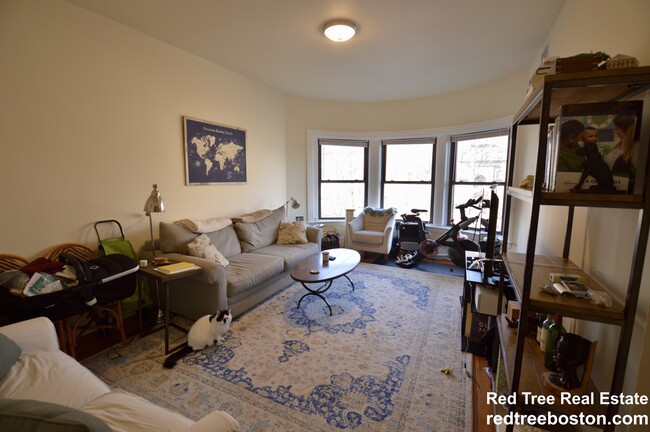 1463 Beacon St, Unit 31 in Brookline, MA - Building Photo - Building Photo