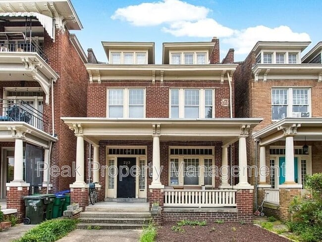 property at 223 N Arthur Ashe Blvd