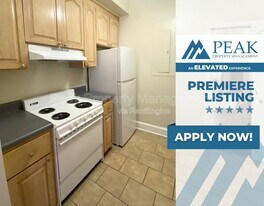 244 N Sycamore St in Petersburg, VA - Building Photo