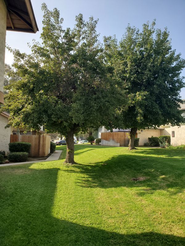 property at 128 Wiseman Way