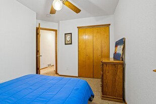 413 Remwood Cir in Divide, CO - Building Photo - Building Photo