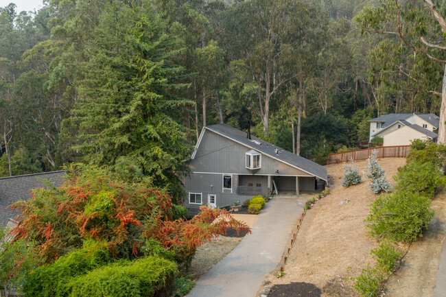 1019 Melaleuca Ln in Mill Valley, CA - Building Photo - Building Photo