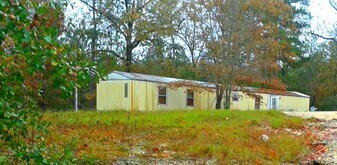 619 Old Shoals Rd in Monetta, SC - Building Photo
