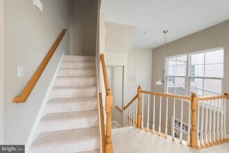 44180 Shady Glen Terrace in Ashburn, VA - Building Photo - Building Photo