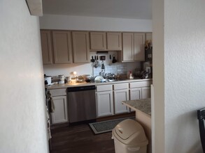 11680 Lincoln St, Unit Basement Apartment in Northglenn, CO - Building Photo - Building Photo