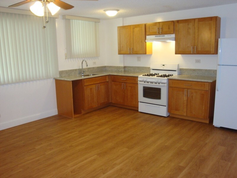 1559 Thurston Ave in Honolulu, HI - Building Photo