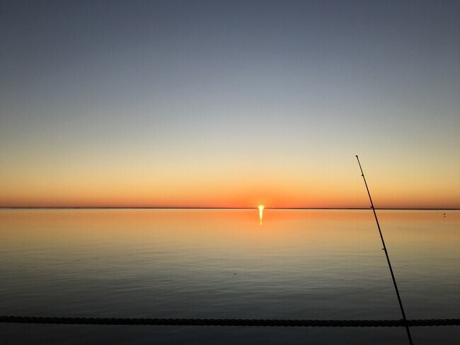 5132 Beach Dr SE, Unit D in St. Petersburg, FL - Foto de edificio - Building Photo