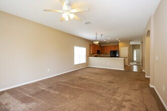 10337 Celtic Ash Dr in Ruskin, FL - Building Photo - Building Photo