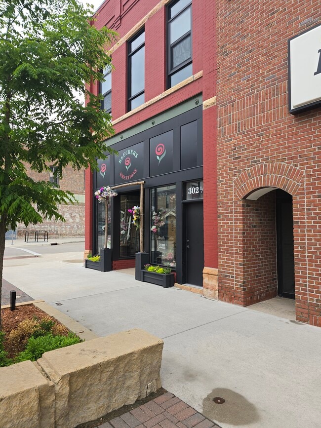 302 N Cedar Ave in Owatonna, MN - Building Photo - Building Photo