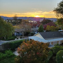 735 Buchanan St, Unit 203 in Benicia, CA - Foto de edificio - Building Photo