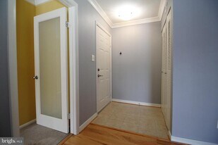 11657 Chesterfield Ct in Reston, VA - Building Photo