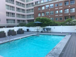 20 Webster St, Unit 301 in Brookline, MA - Building Photo - Building Photo